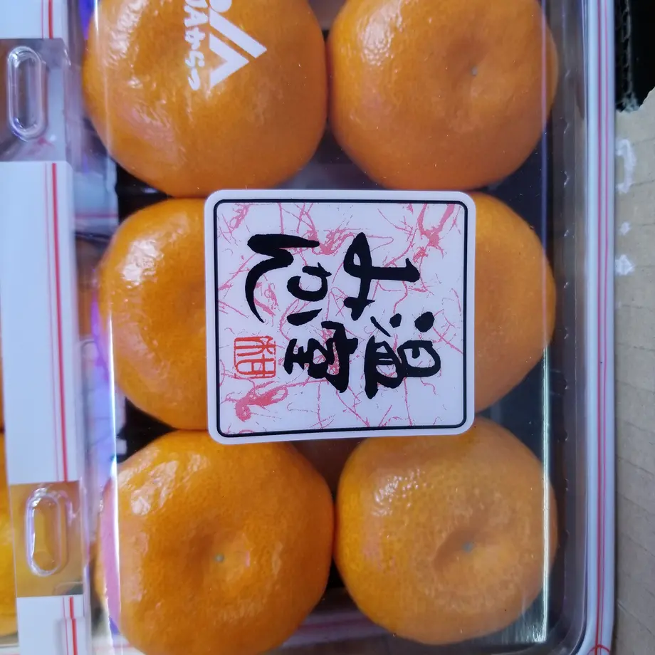 60c1d208d7e1d8289d347fac