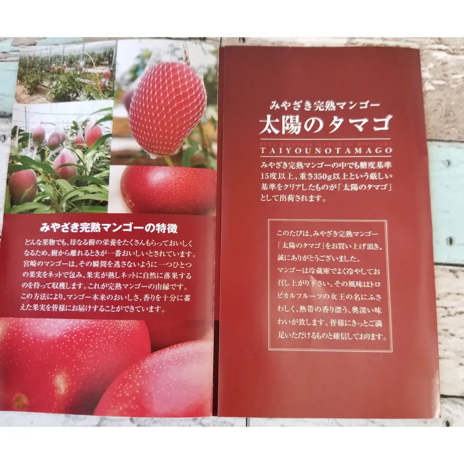 60598efa2305571bf87c254e