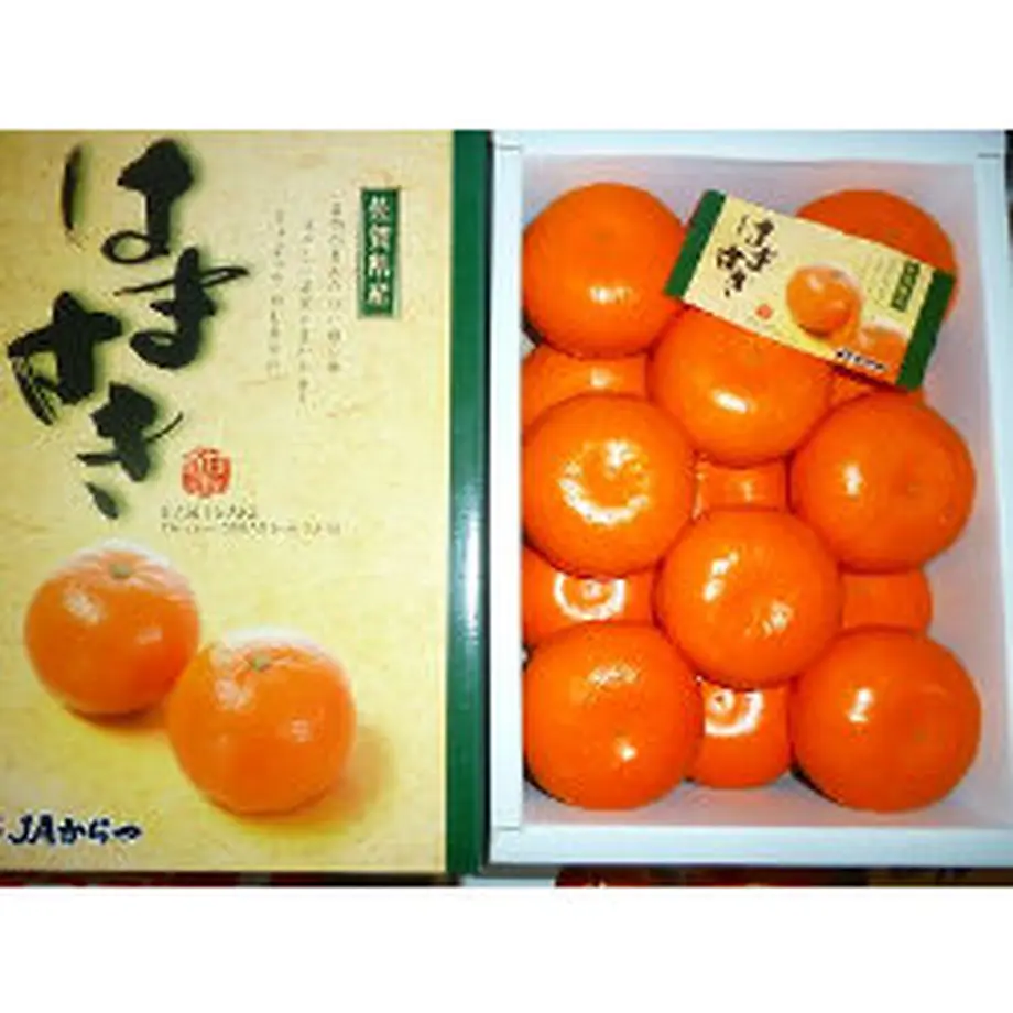 605997d2a87fc56f3aa0551b