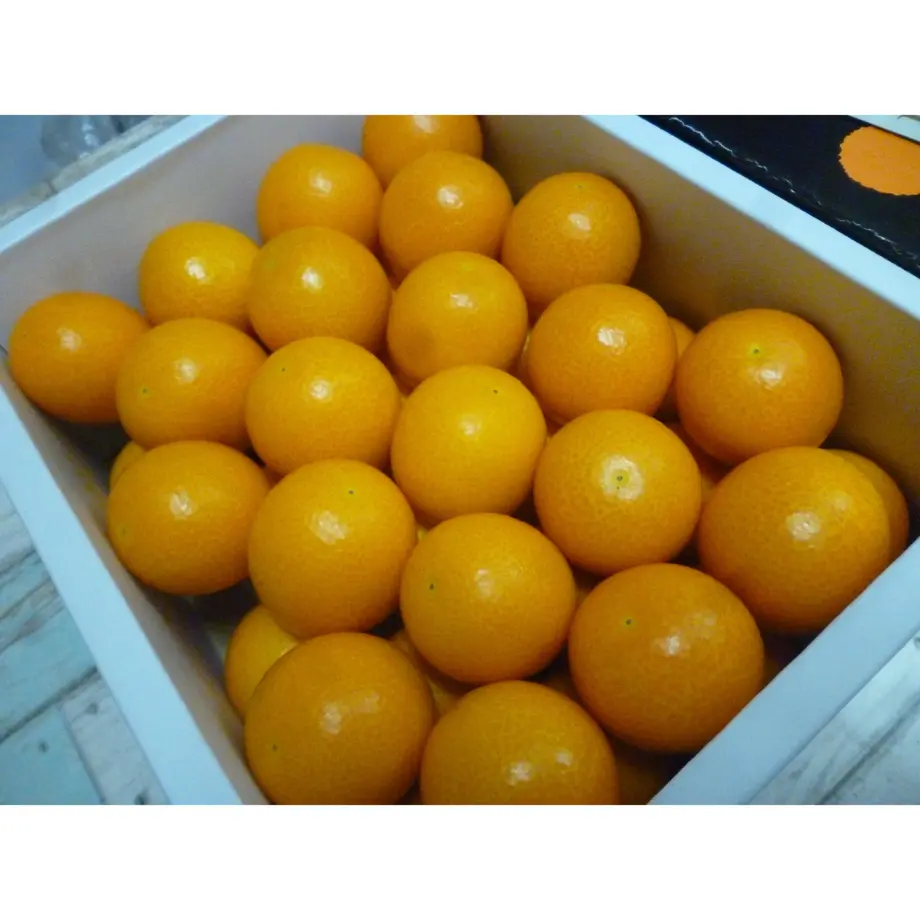 61d52d5ce3bbd1077df34f54