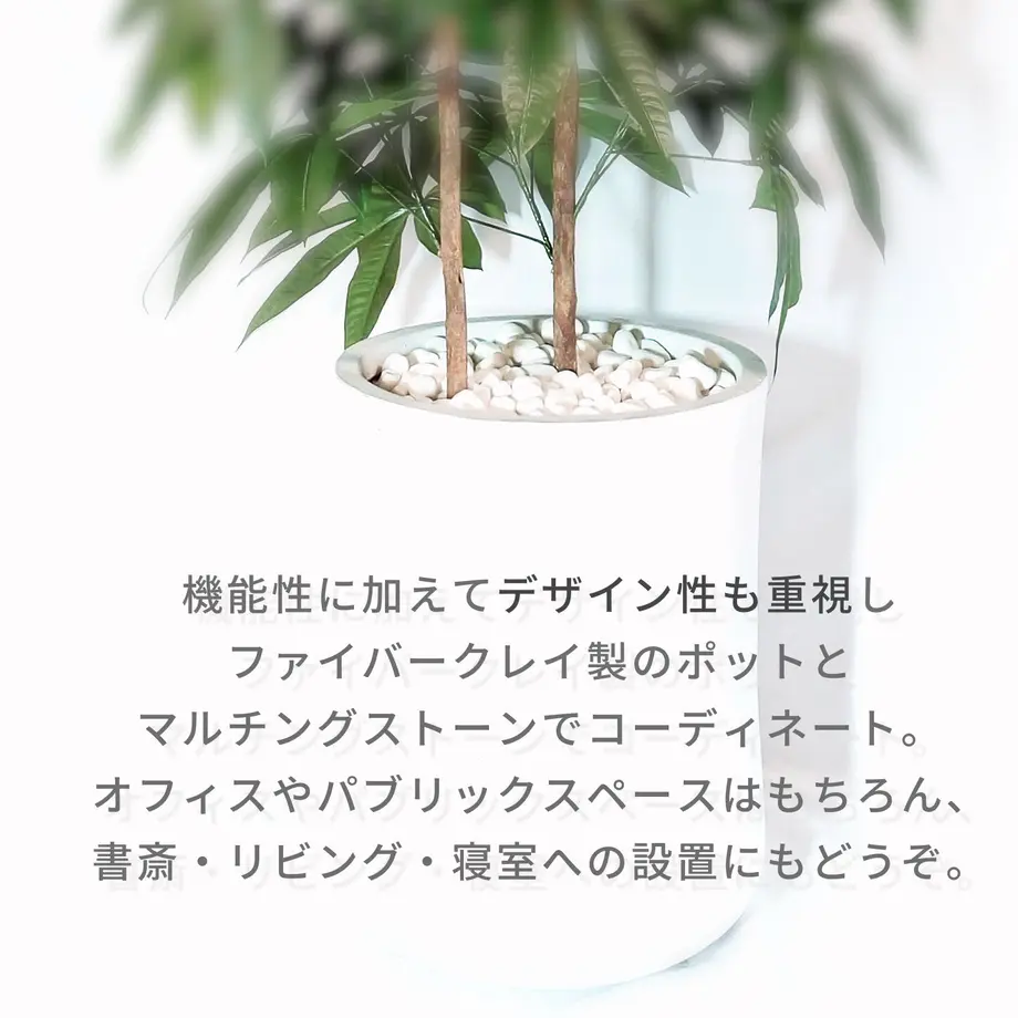 6205bf541dca32597a9fa51f