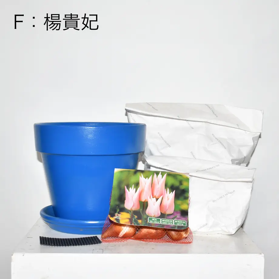 618cd0487d5d81061c1cefc3