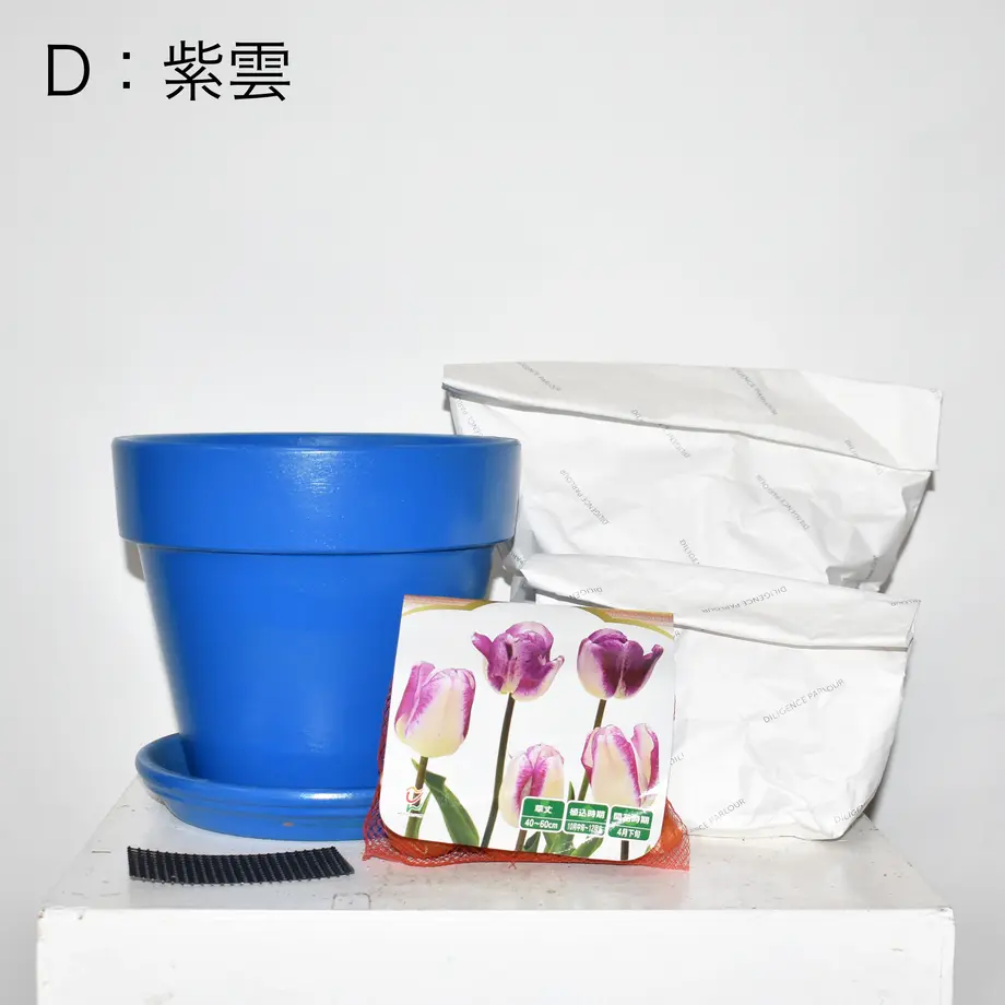 618cd0487d5d81061c1cefc3