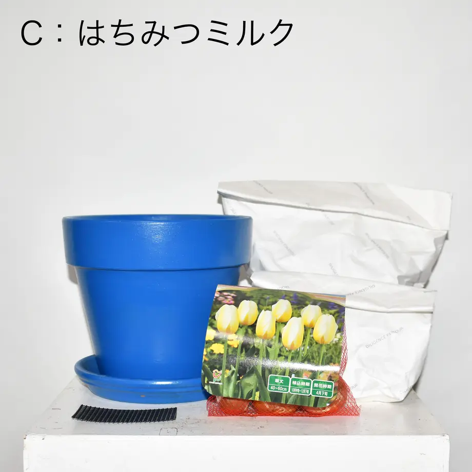 618cd0487d5d81061c1cefc3