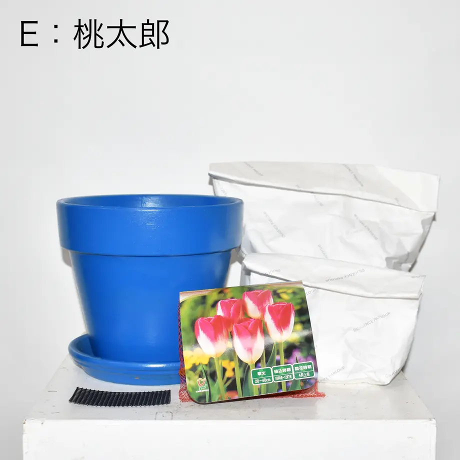618cd0487d5d81061c1cefc3