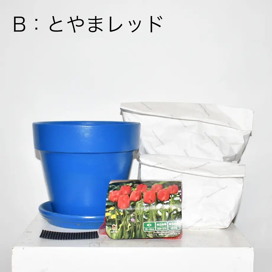 618cd0487d5d81061c1cefc3