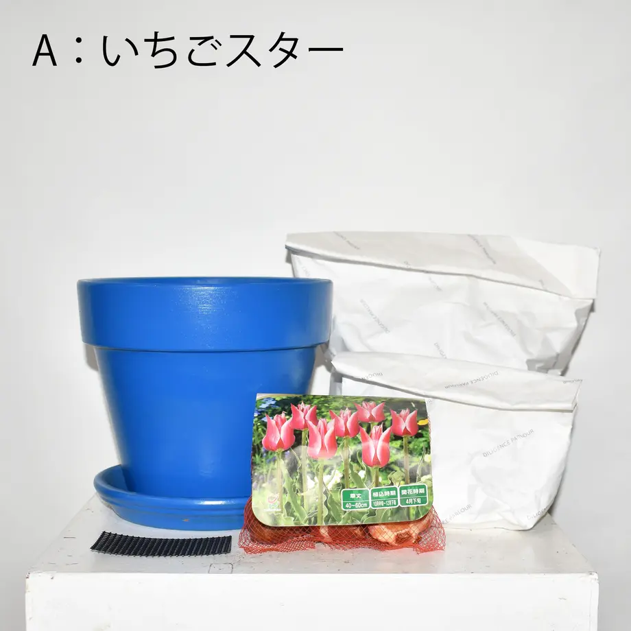 618cd0487d5d81061c1cefc3