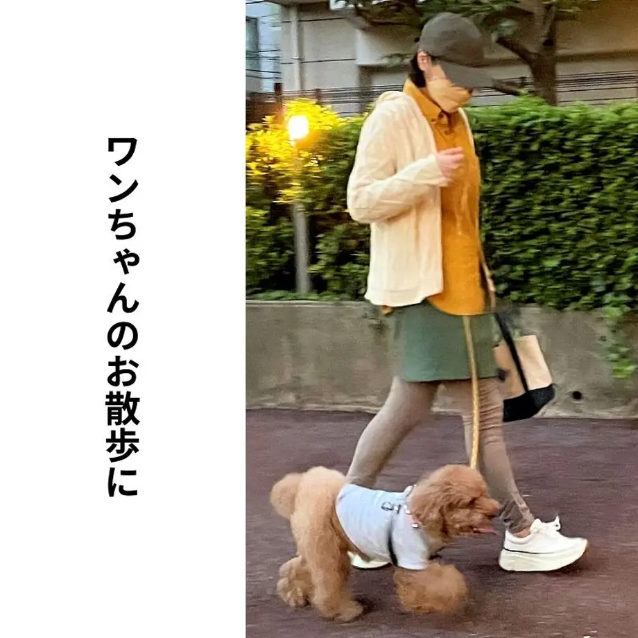 62f32da1ac366154415a2ff6