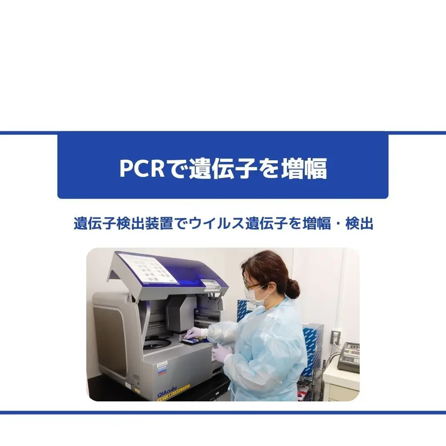 611233727acd160845d4b612