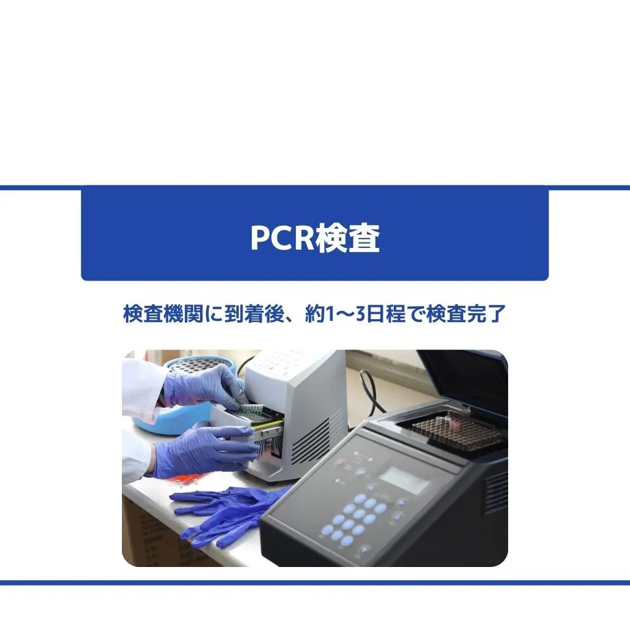 611233727acd160845d4b612