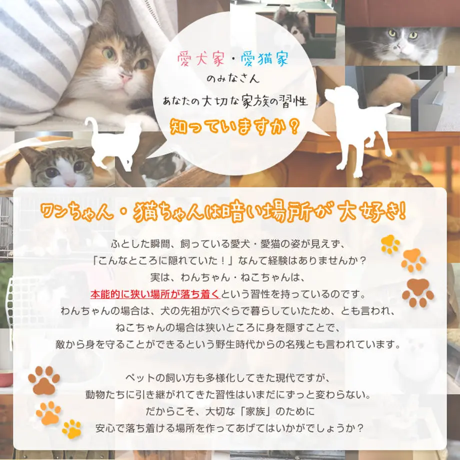 598a9f93428f2d778b0008ae