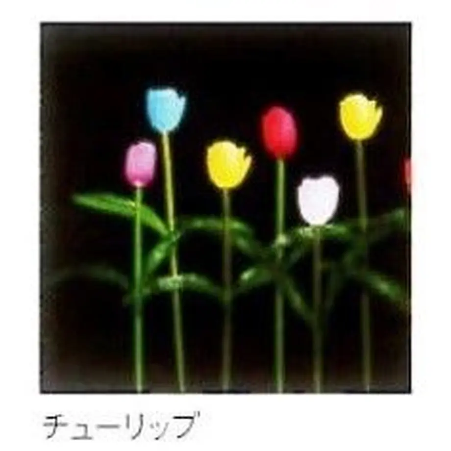 5b7e5a625496ff042d0009c7