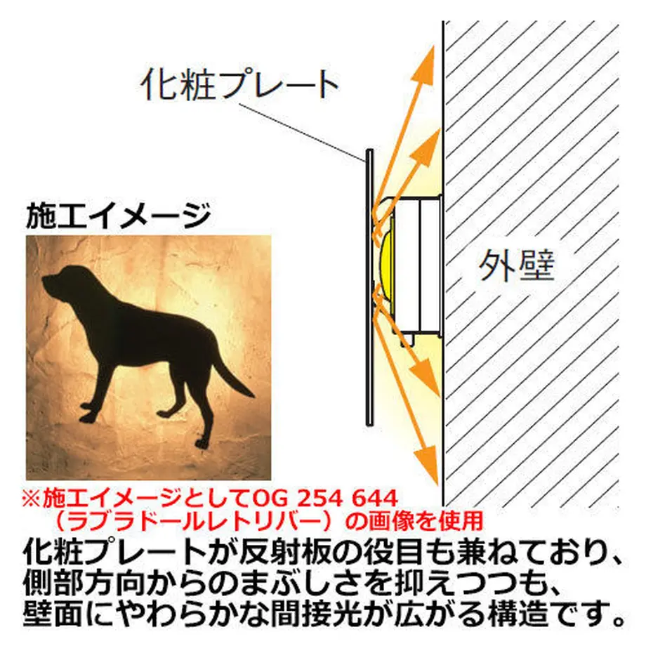 58290ead41f8e8e3bc01169c