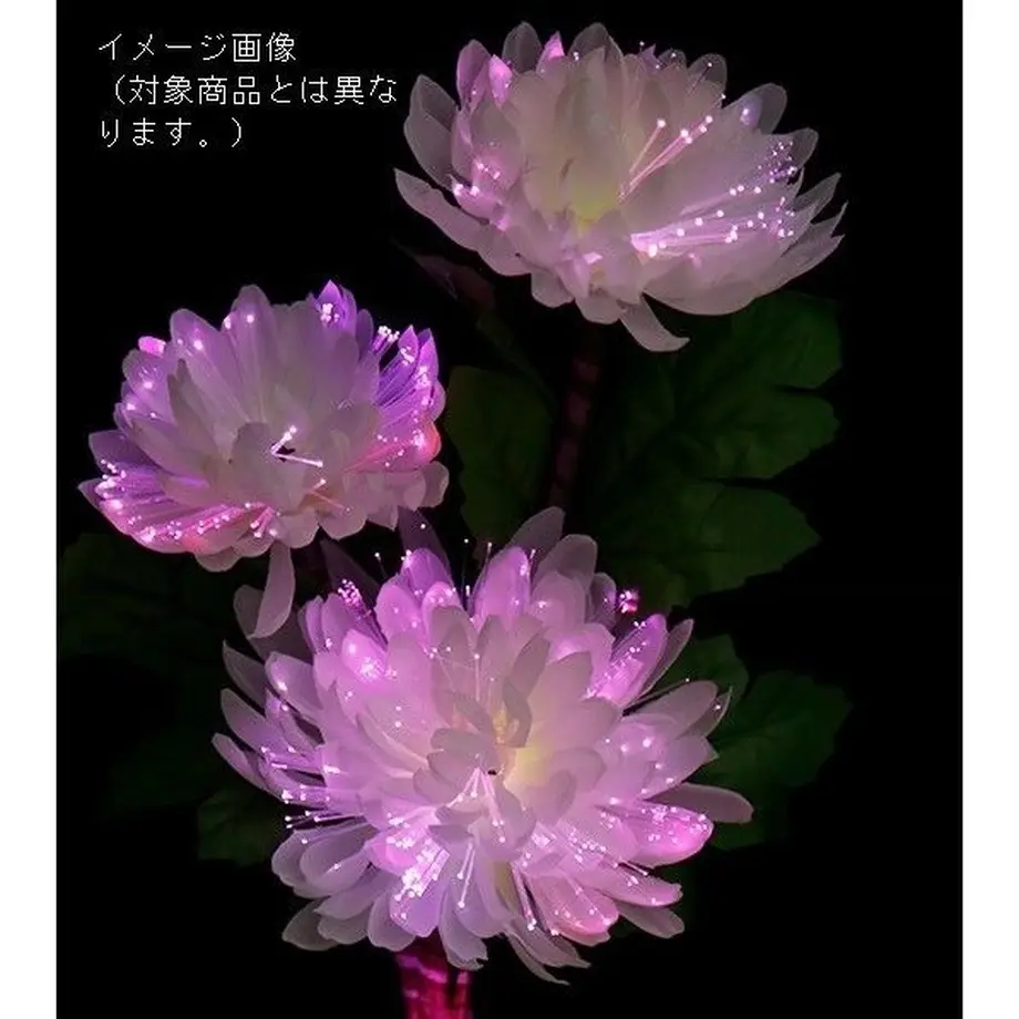 5b7e5f11ef843f2efa0006b2