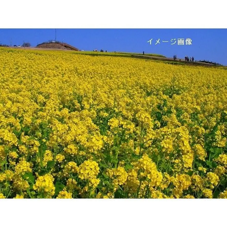 5b7e61285f78664d56000bbd
