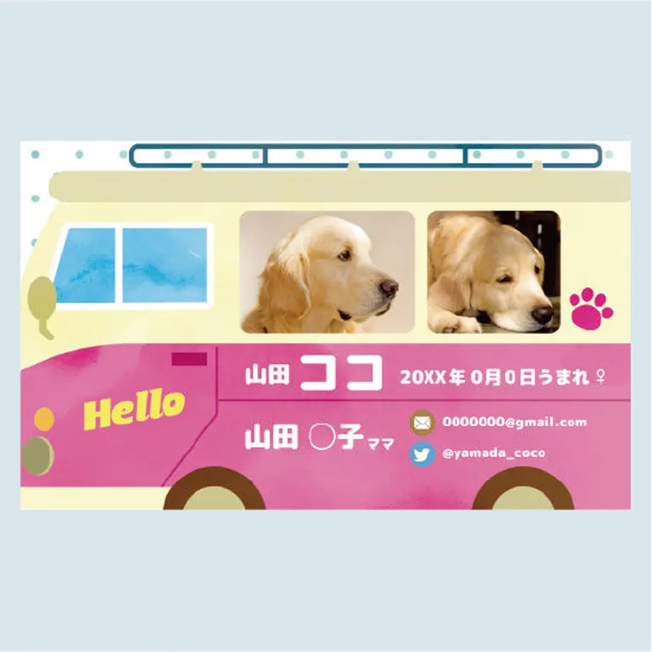 55e61b633cd482b9c8002656