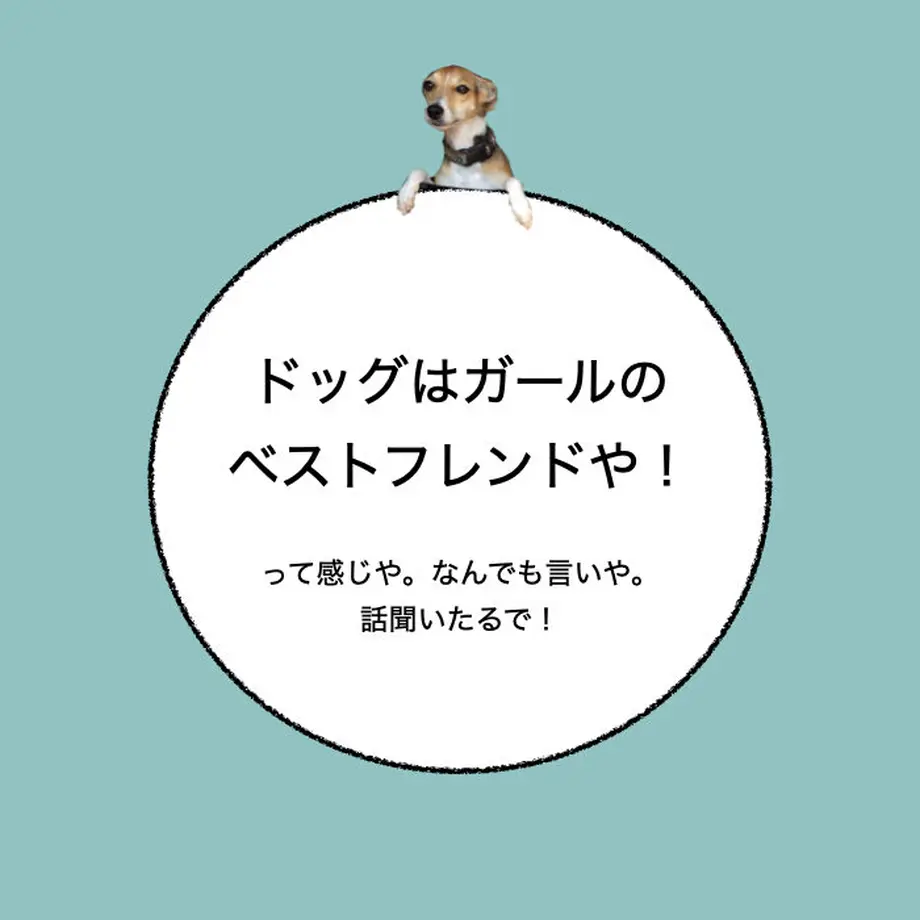 6057240e9b47bf498e0915ff