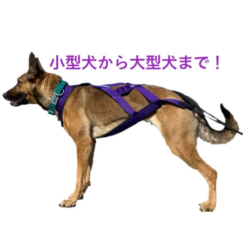604634b0aaf0431f5d0d6e8c