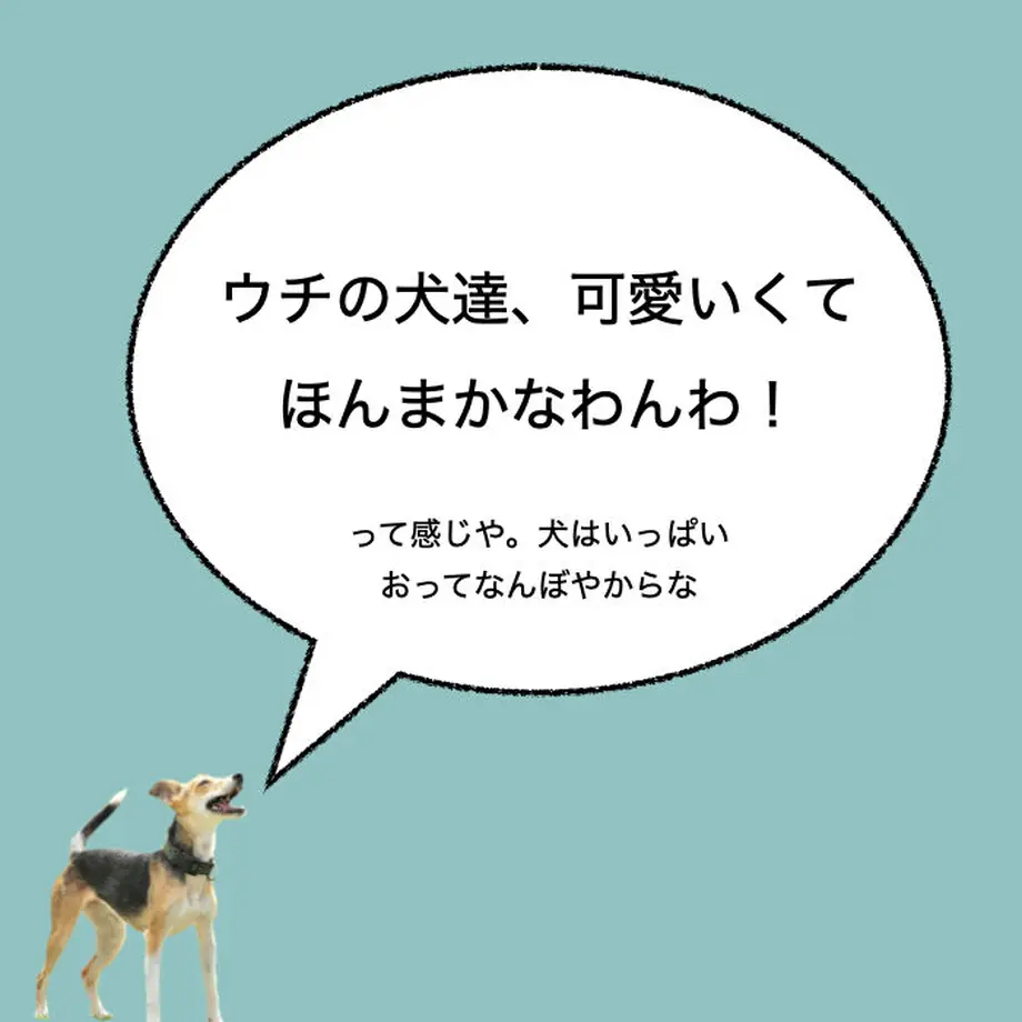 60572349a11abc6d64498c2c
