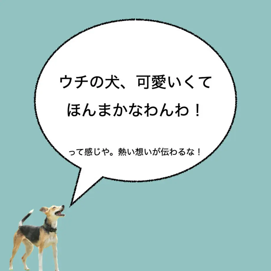 605723a1fda3603078323db0
