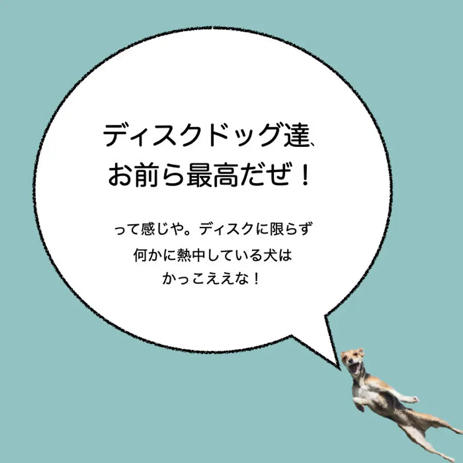 60572019c9e02c429e0c8d7a