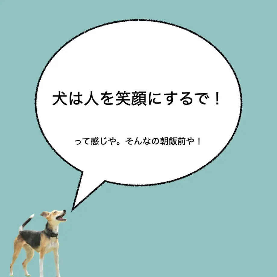 605724e6fda3604b7e323c38