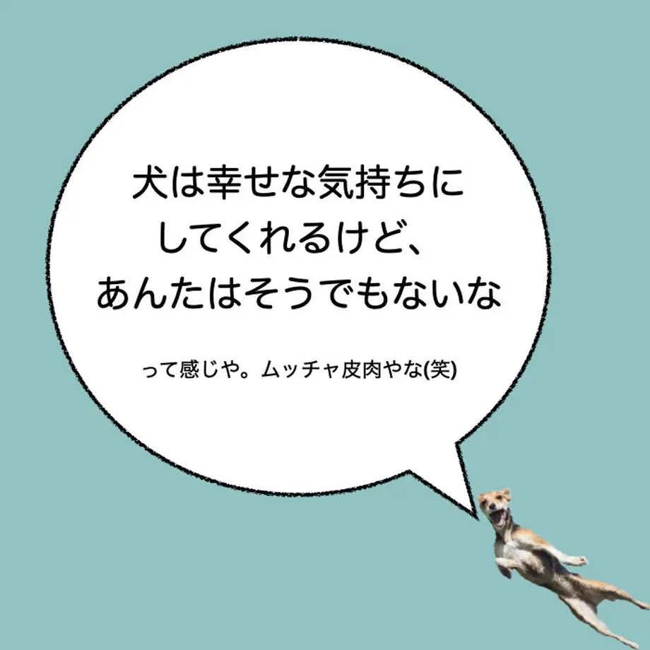 60572588fda3604b7e323c51