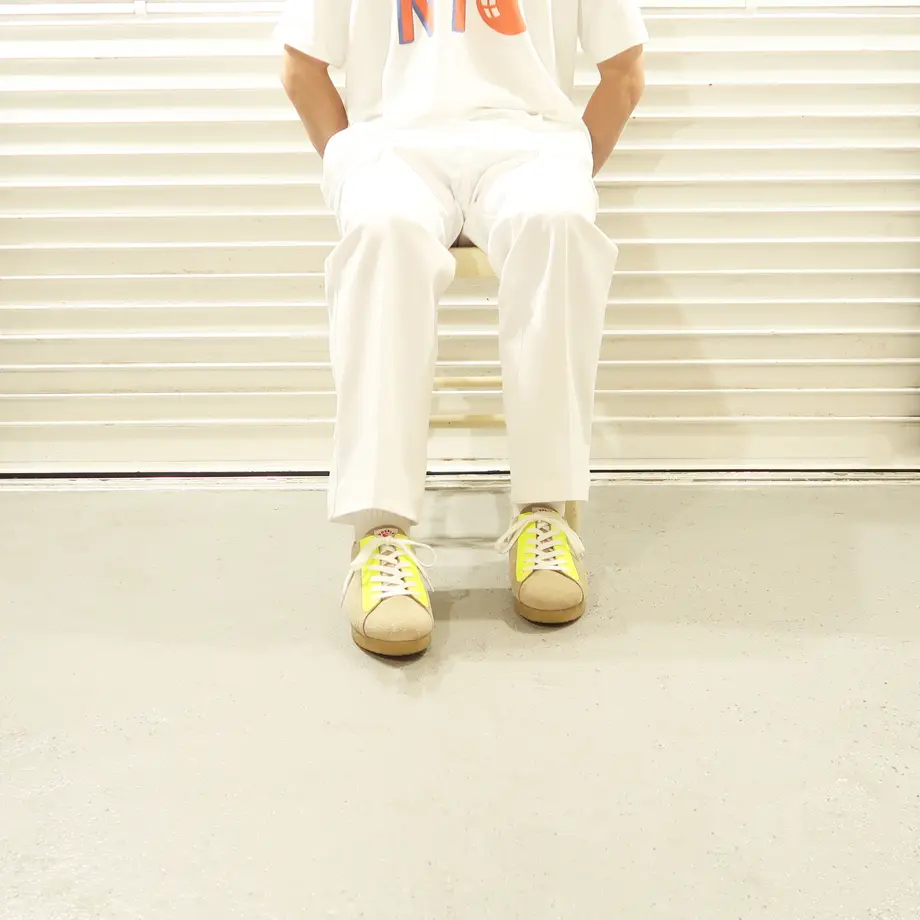 5b0935a65496ff2b8f0009f6