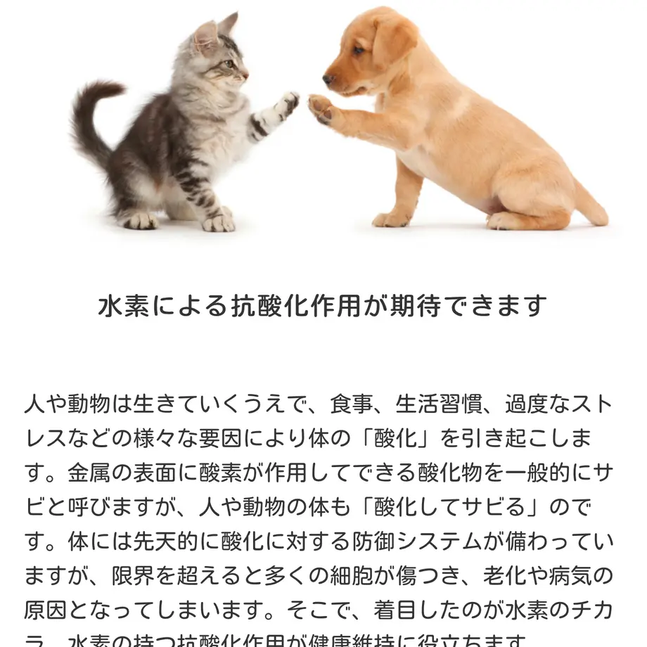 5f75baea8f2ebd6cdb1a860c
