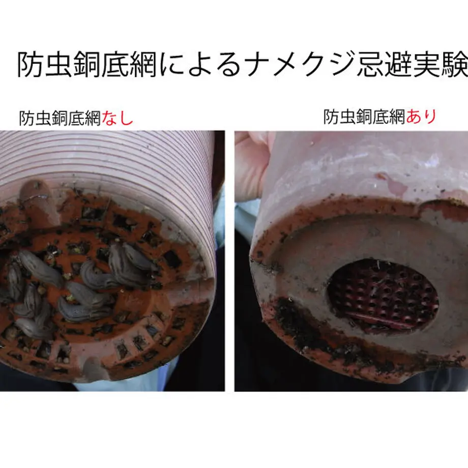 601cf6cf6e84d53e55d57b47