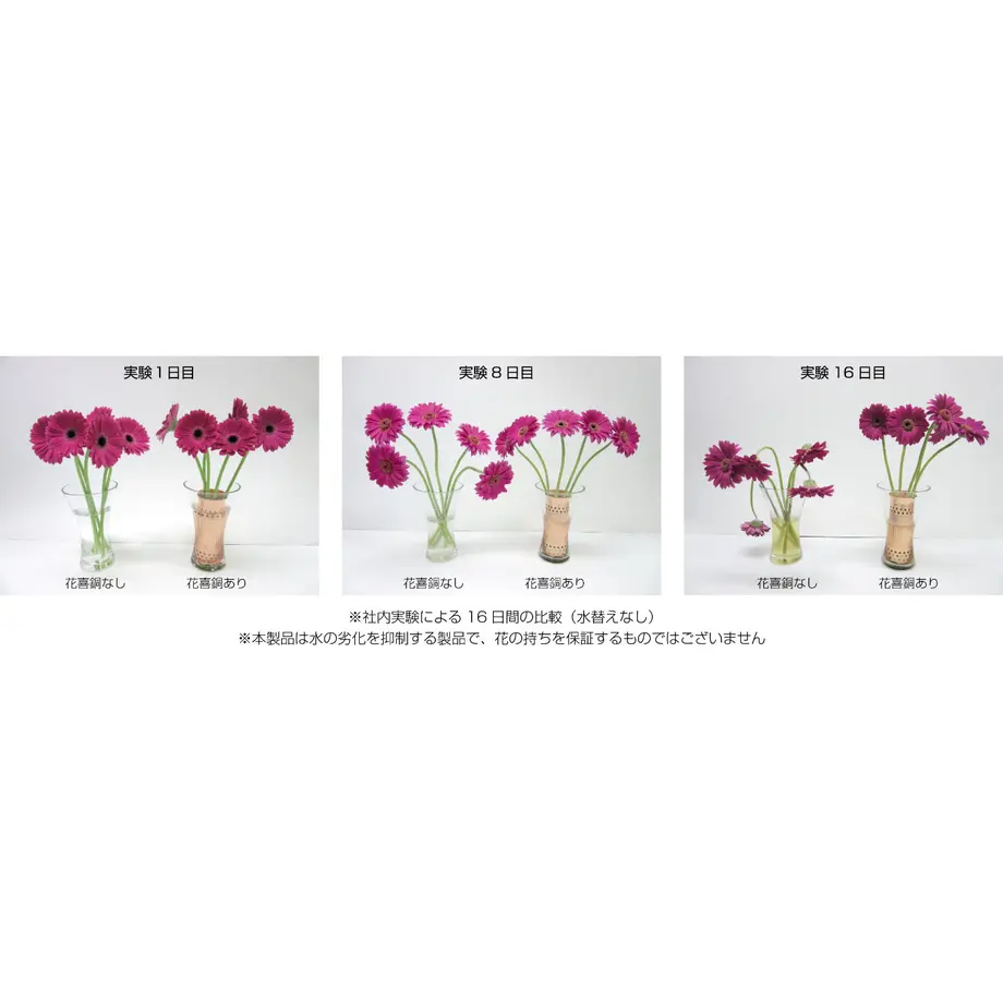 5ee327e6d3f16728ac1b8656