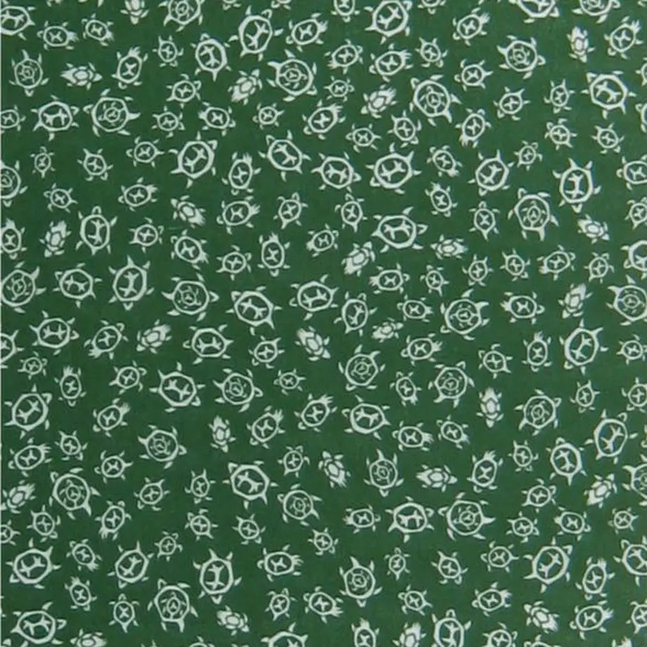 5ec4d6a034ef013518a954e8