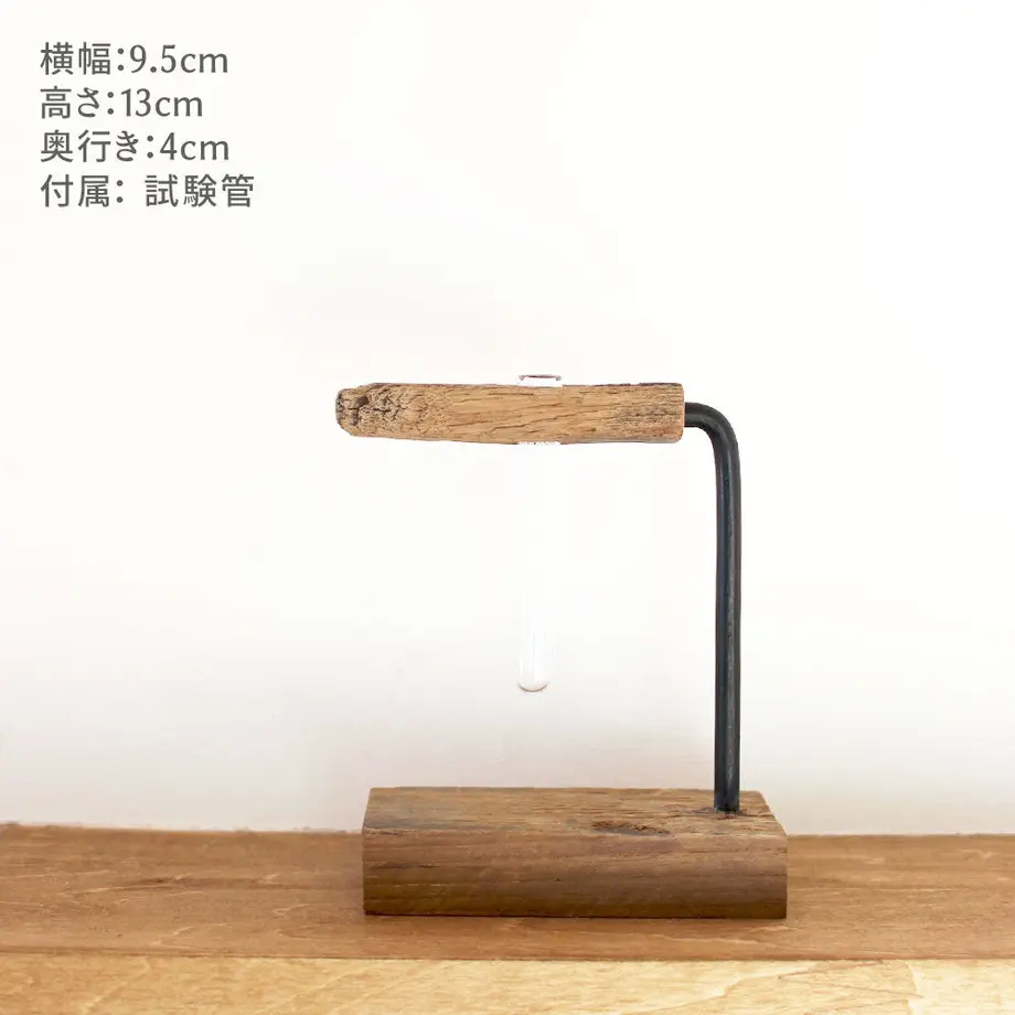 5e53ae55c78a536a6541821d