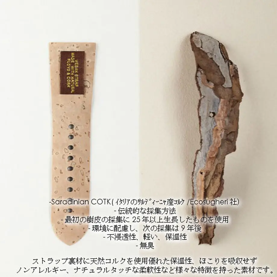 5ca19a6f3207bc32c13ca1b7