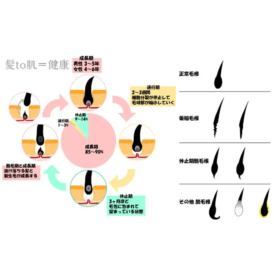 612104b72b2d3d6235d47c51