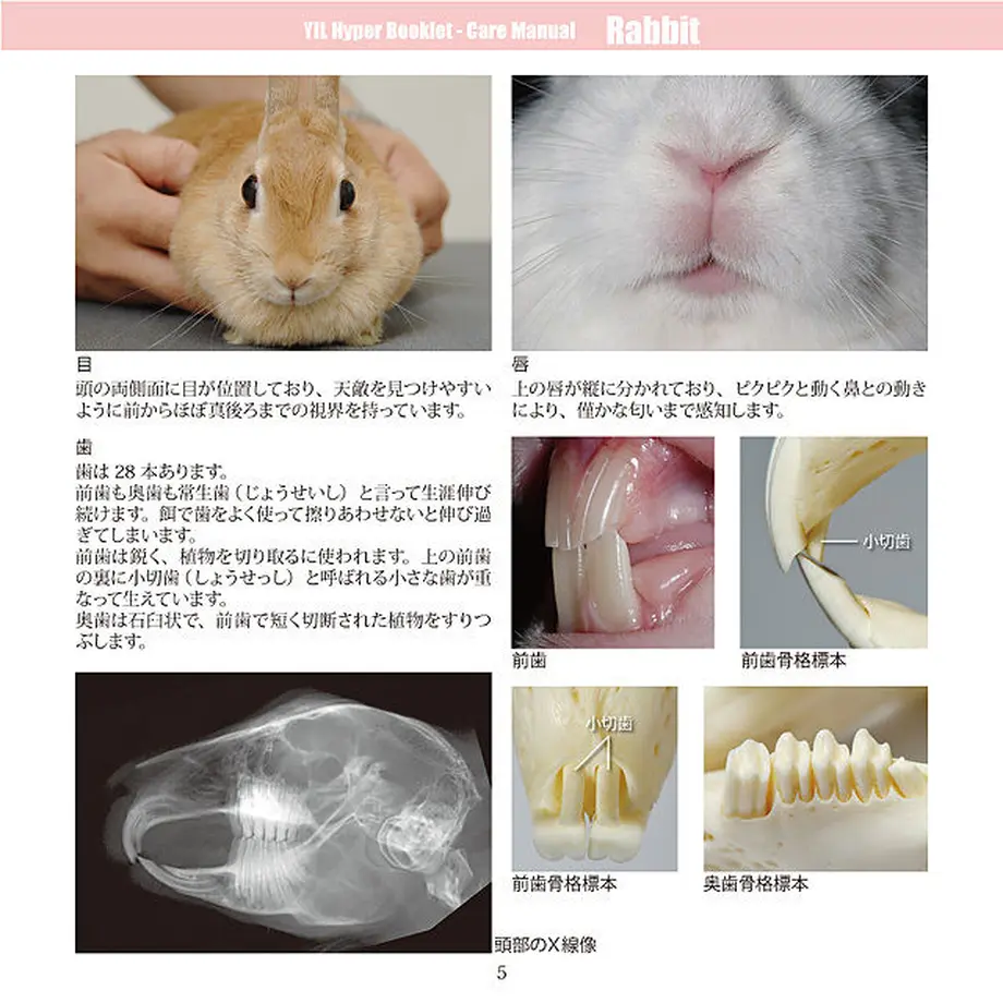 5d5bb8ad089c6663acd8fe59