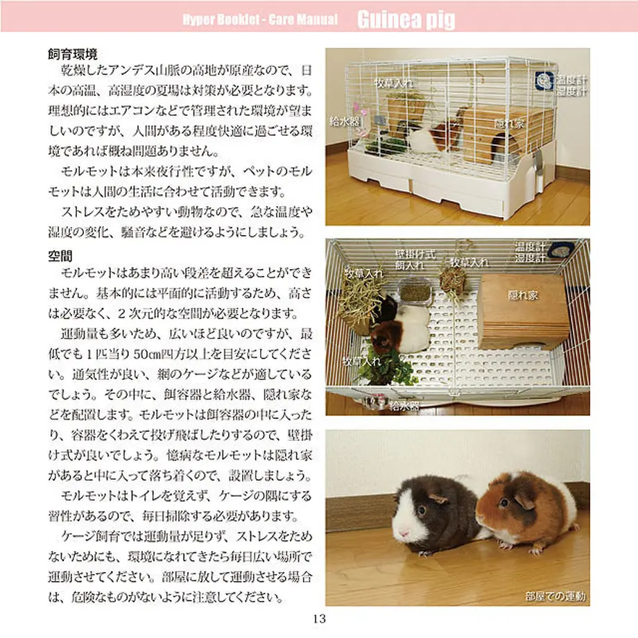 5d5bb8ad089c6663acd8fe5b