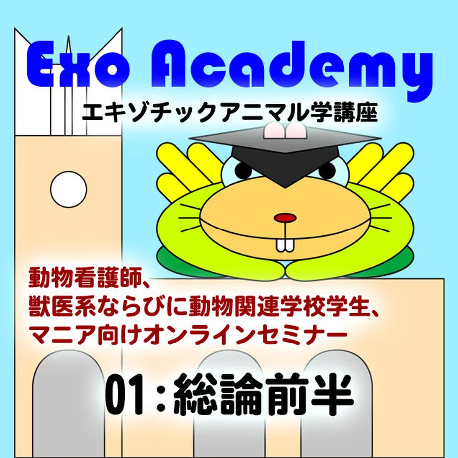60647135a87fc53e1ff23256