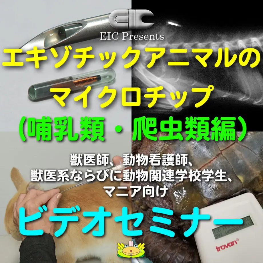 5e859e0c9df1633446b3c38b