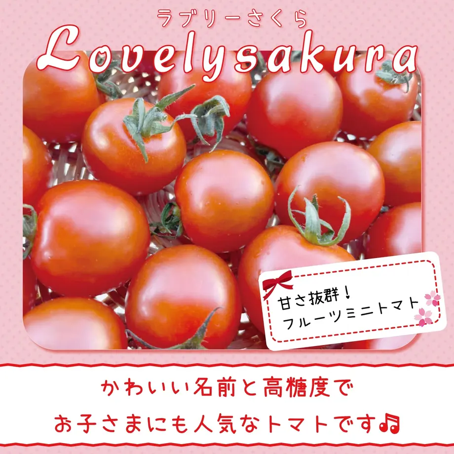 6041e4be6728be264a689ef0