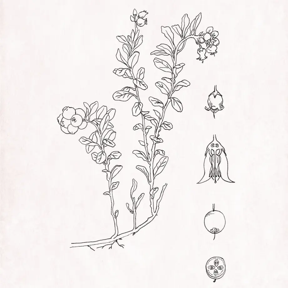 5faa363ada019c6655bce8d7