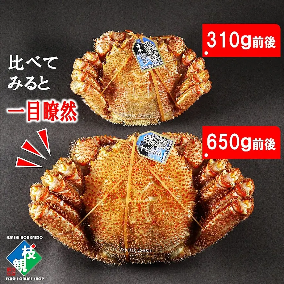 5ecb740a34ef0159dd957b77