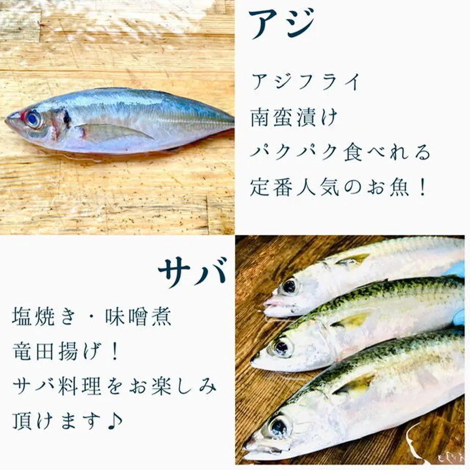 602a4346aaf0433a6b2fbc59