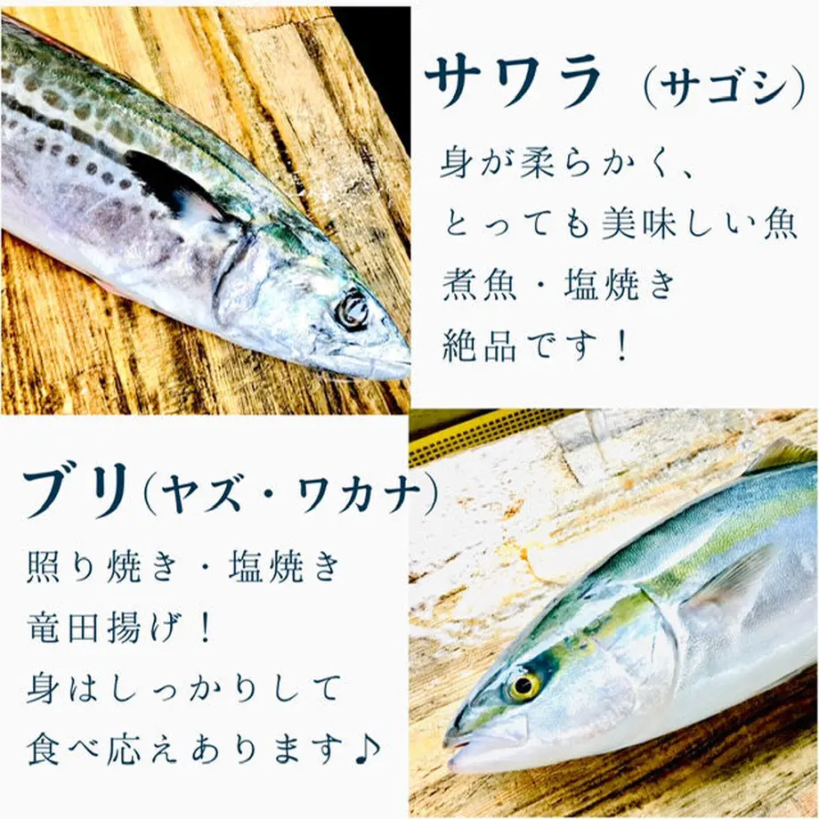 602a4346aaf0433a6b2fbc59
