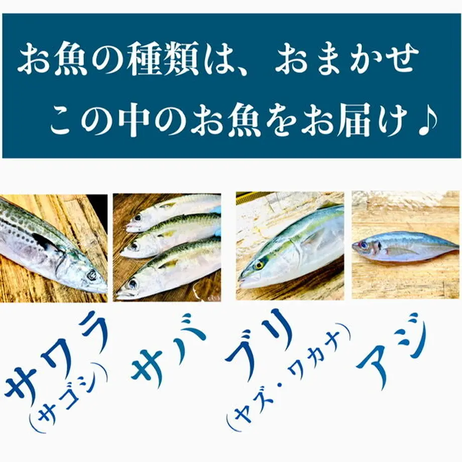 602a4346aaf0433a6b2fbc59