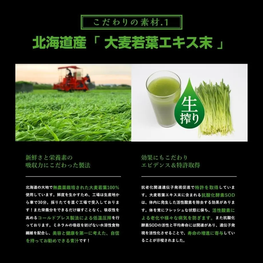 611344cf84ca635cdd19fc13