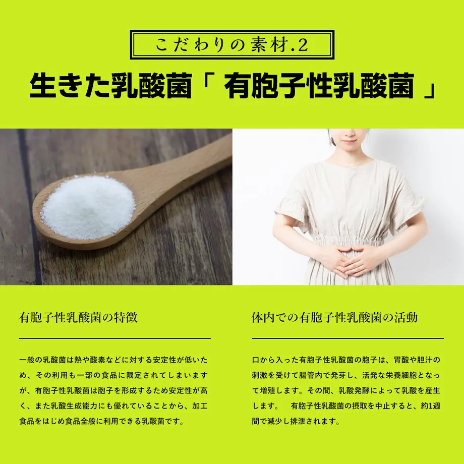611344cf84ca635cdd19fc13