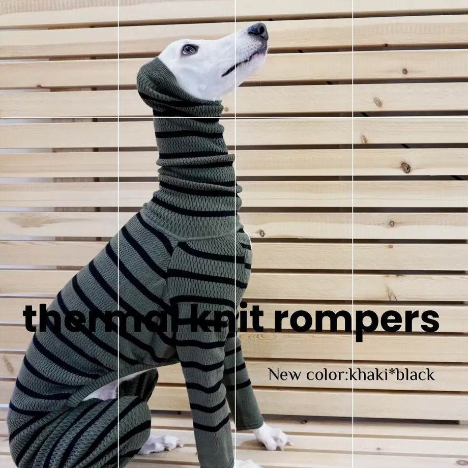 62431b762b2d3d493956ac5f