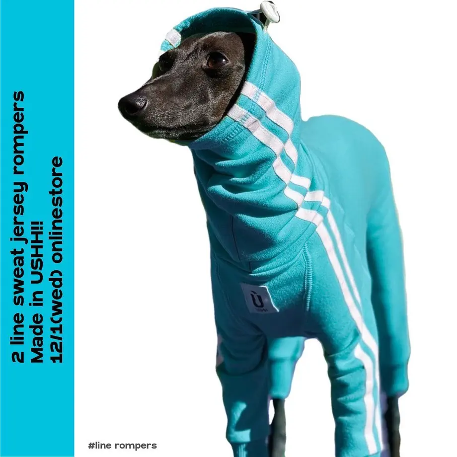 61a37eabd26fa50b2a0184d0
