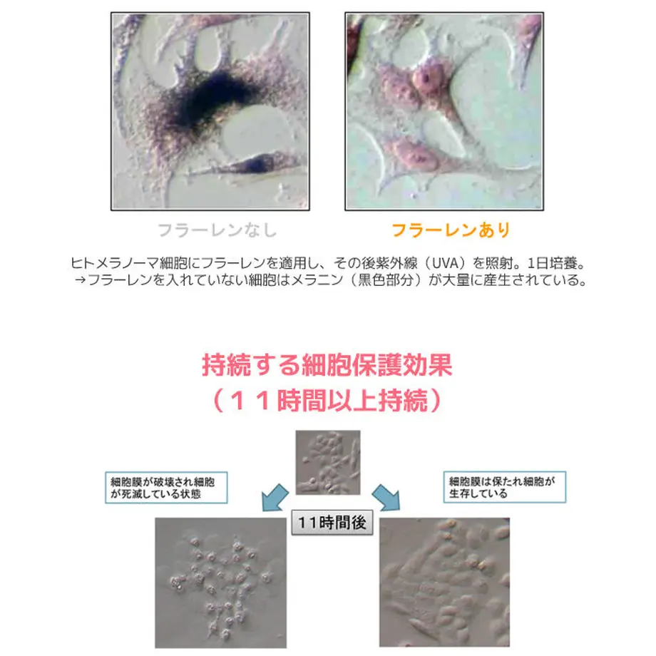 57ce5d9841f8e86354000fdc